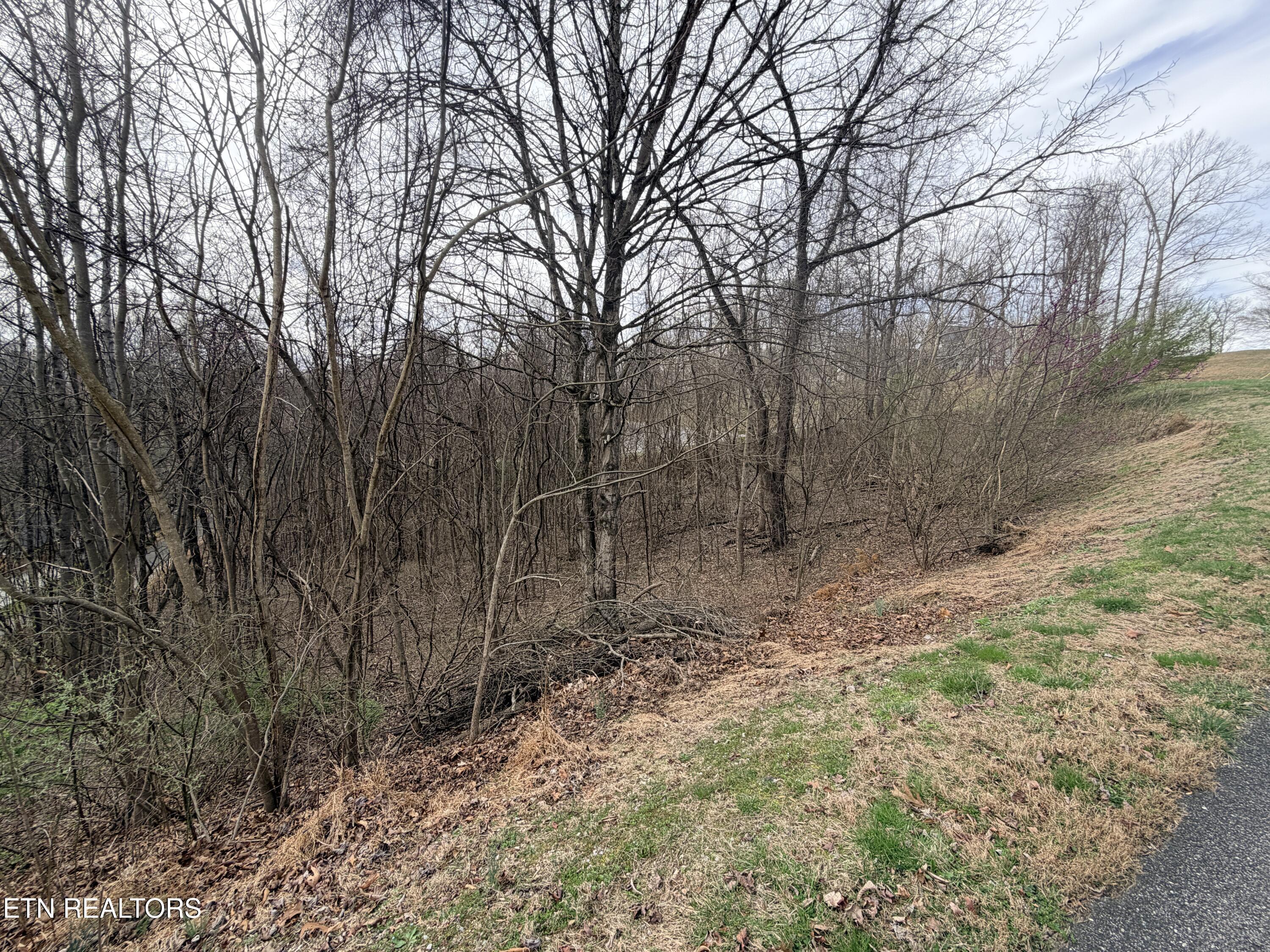 Norris Lake Real Estate - Image# 20