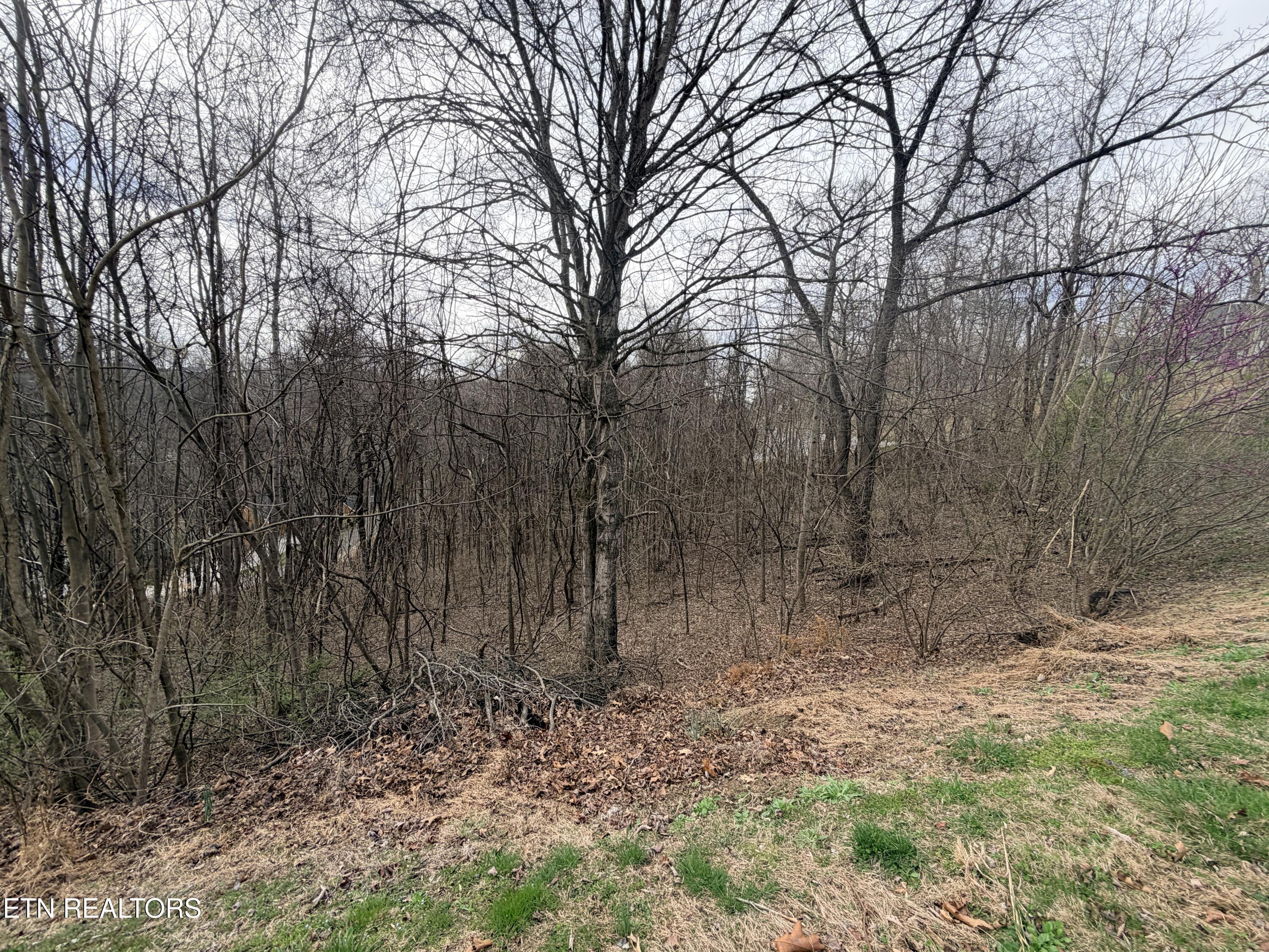 Norris Lake Real Estate - Image# 21