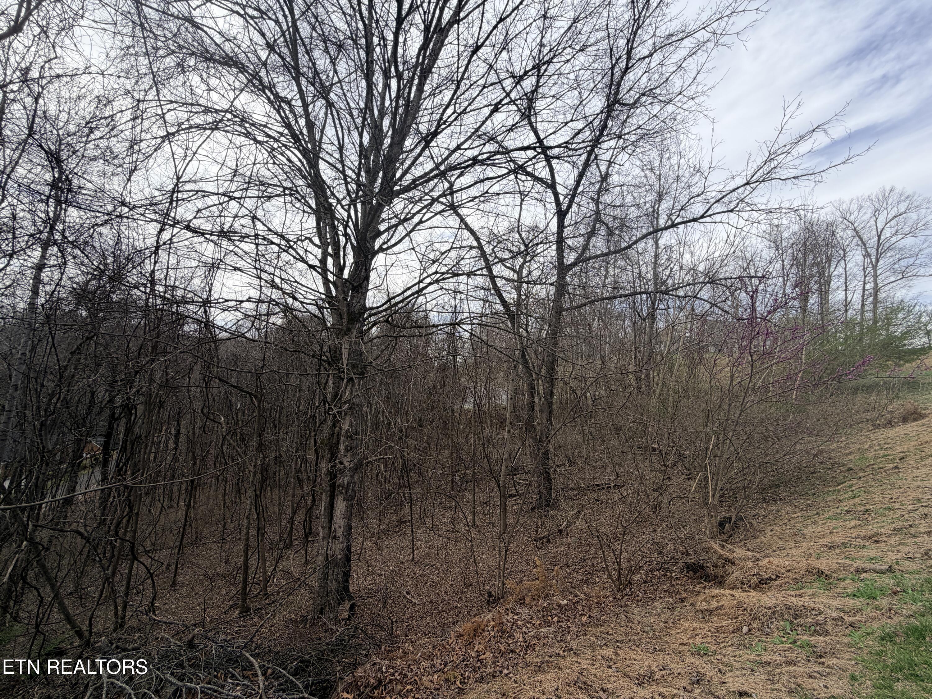 Norris Lake Real Estate - Image# 22