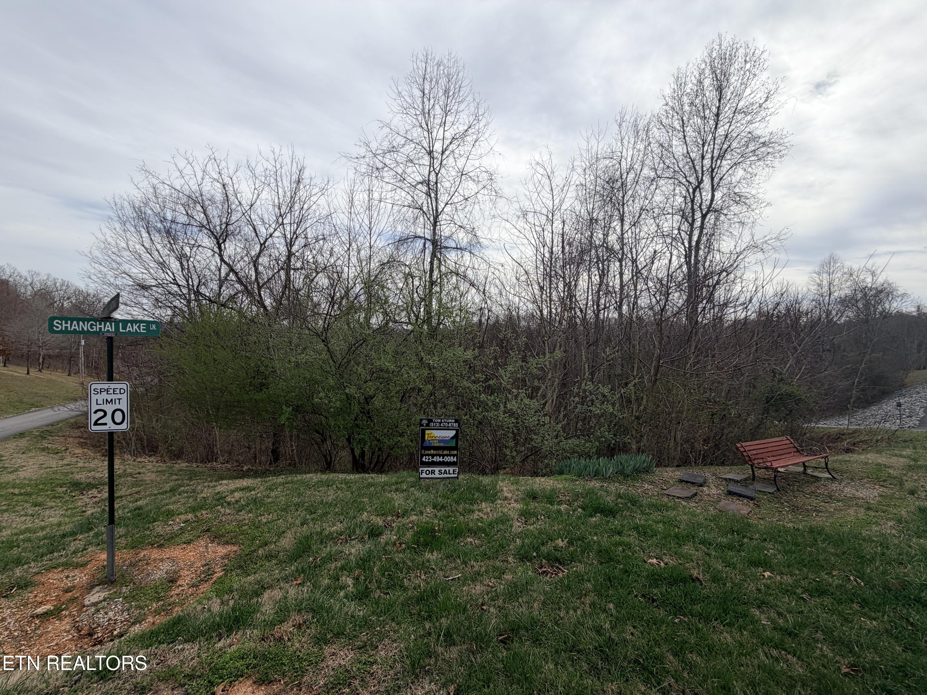 Norris Lake Real Estate - Image# 23