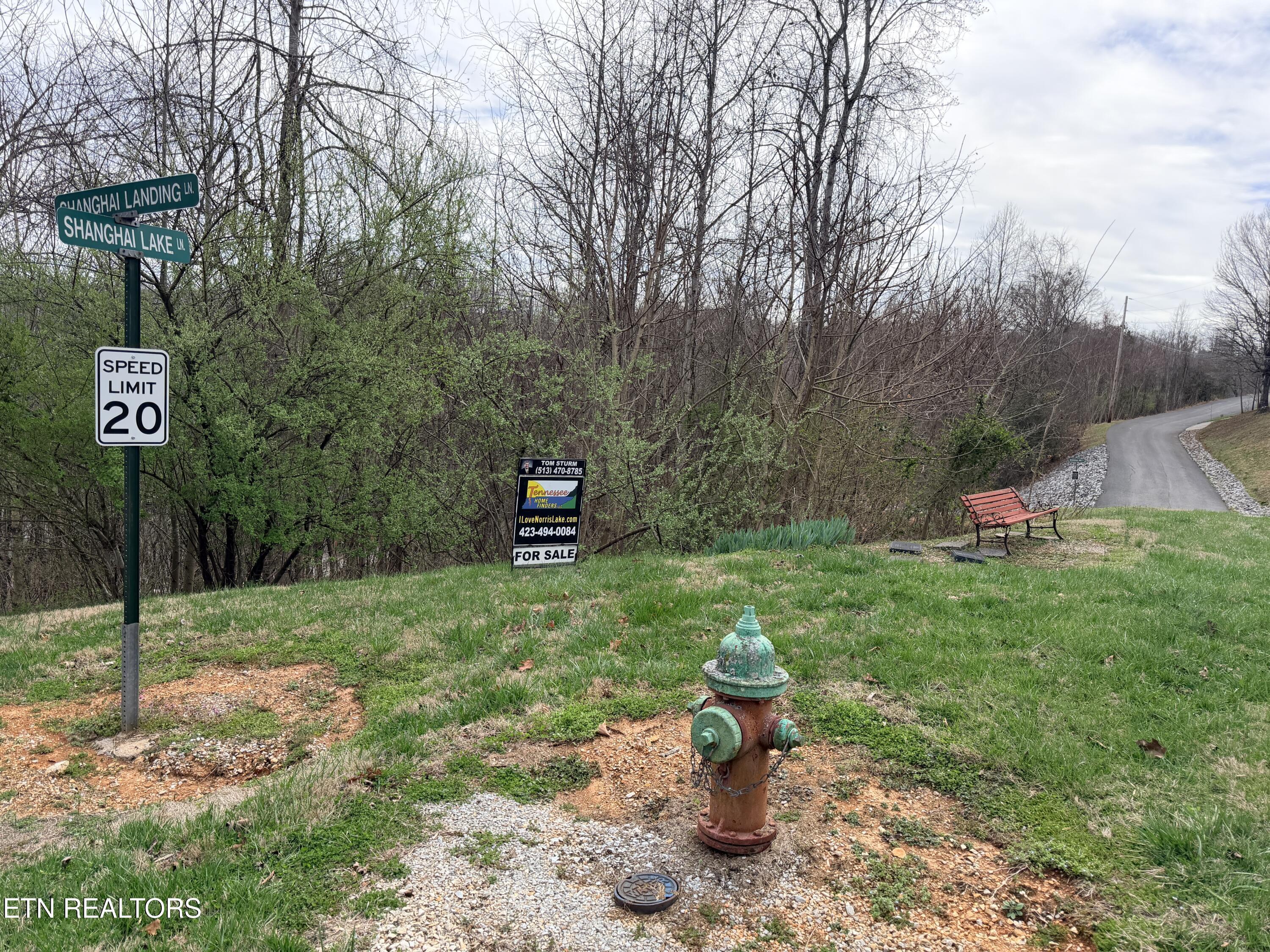 Norris Lake Real Estate - Image# 6