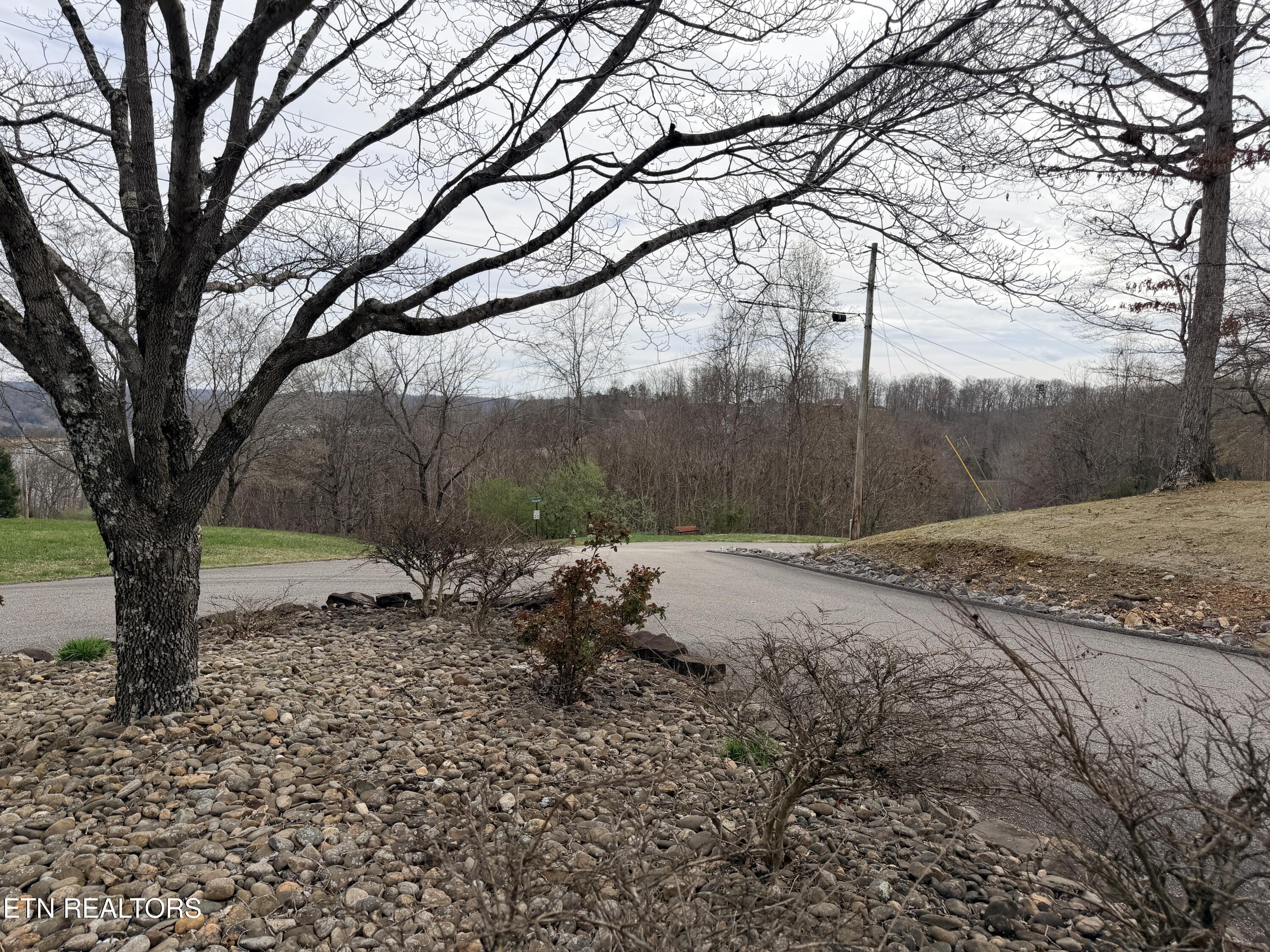Norris Lake Real Estate - Image# 24