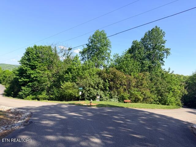 Norris Lake Real Estate - Image# 2