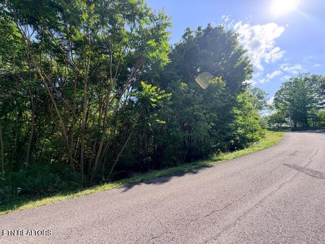 Norris Lake Real Estate - Image# 5