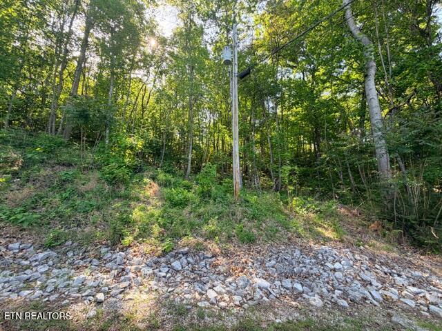 Norris Lake Real Estate - Image# 4