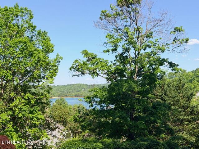 Norris Lake Real Estate - Image# 1