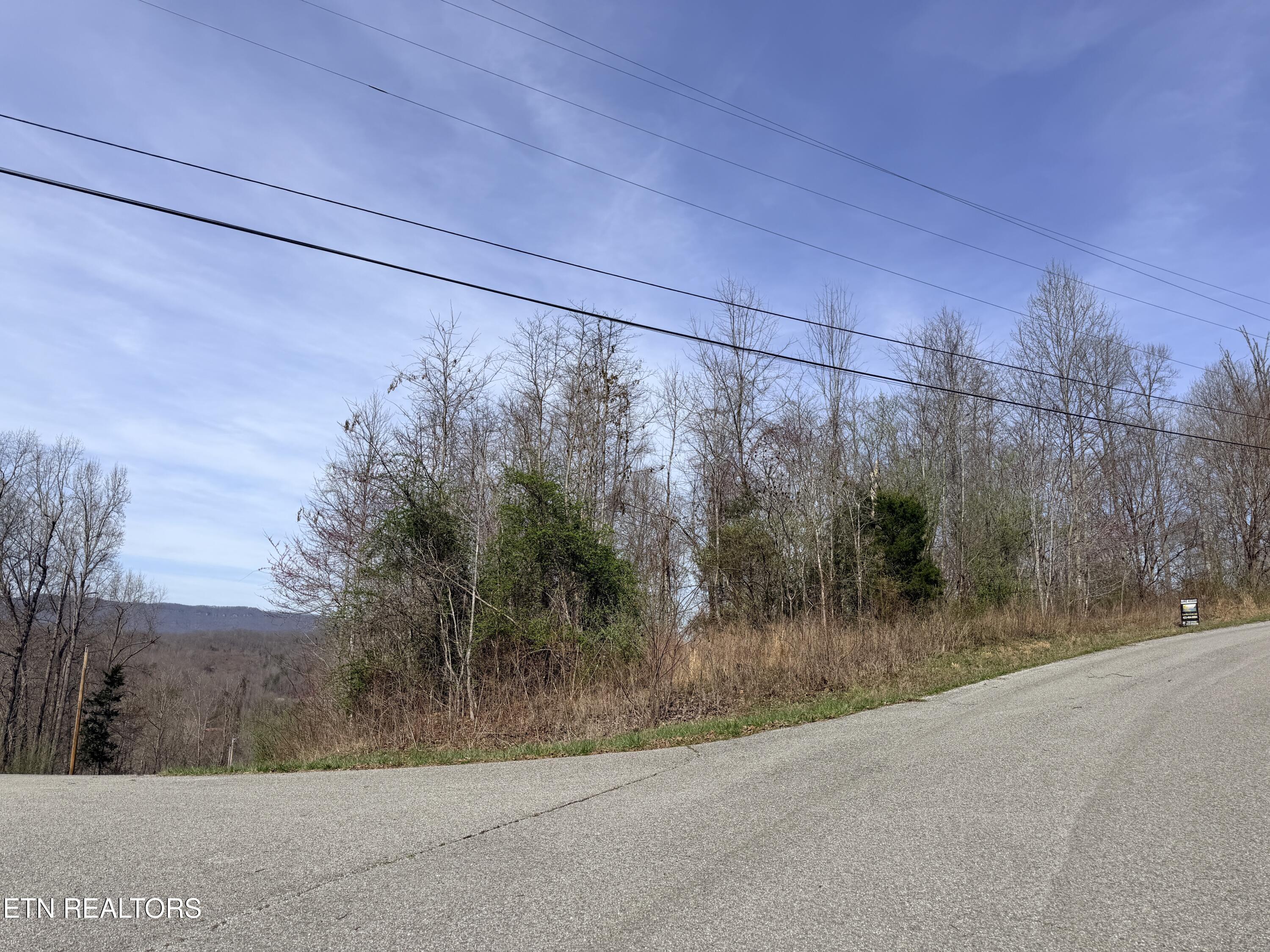 Norris Lake Real Estate - Image# 5