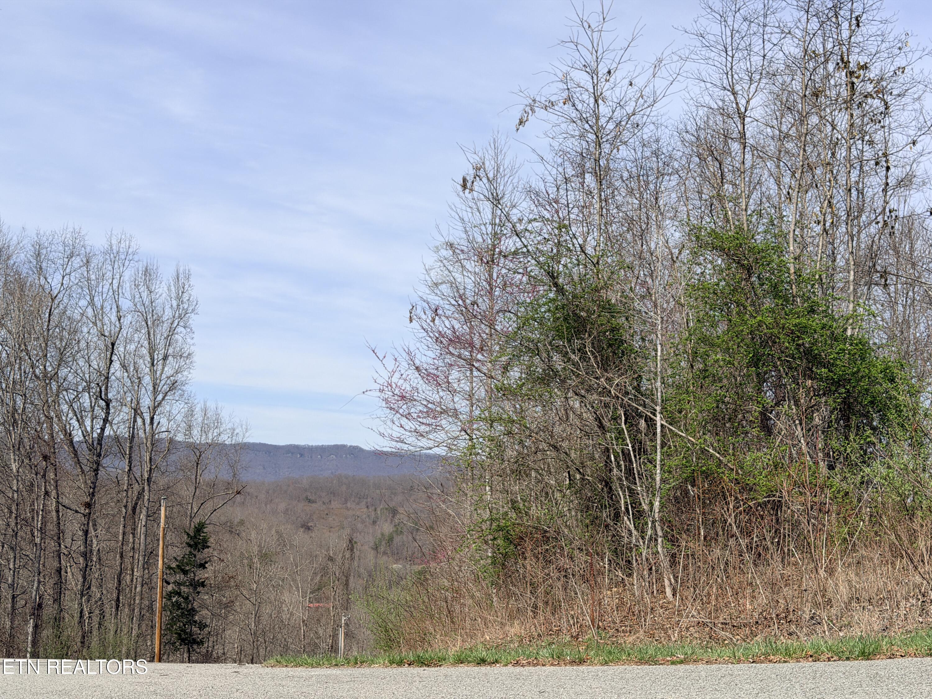 Norris Lake Real Estate - Image# 6