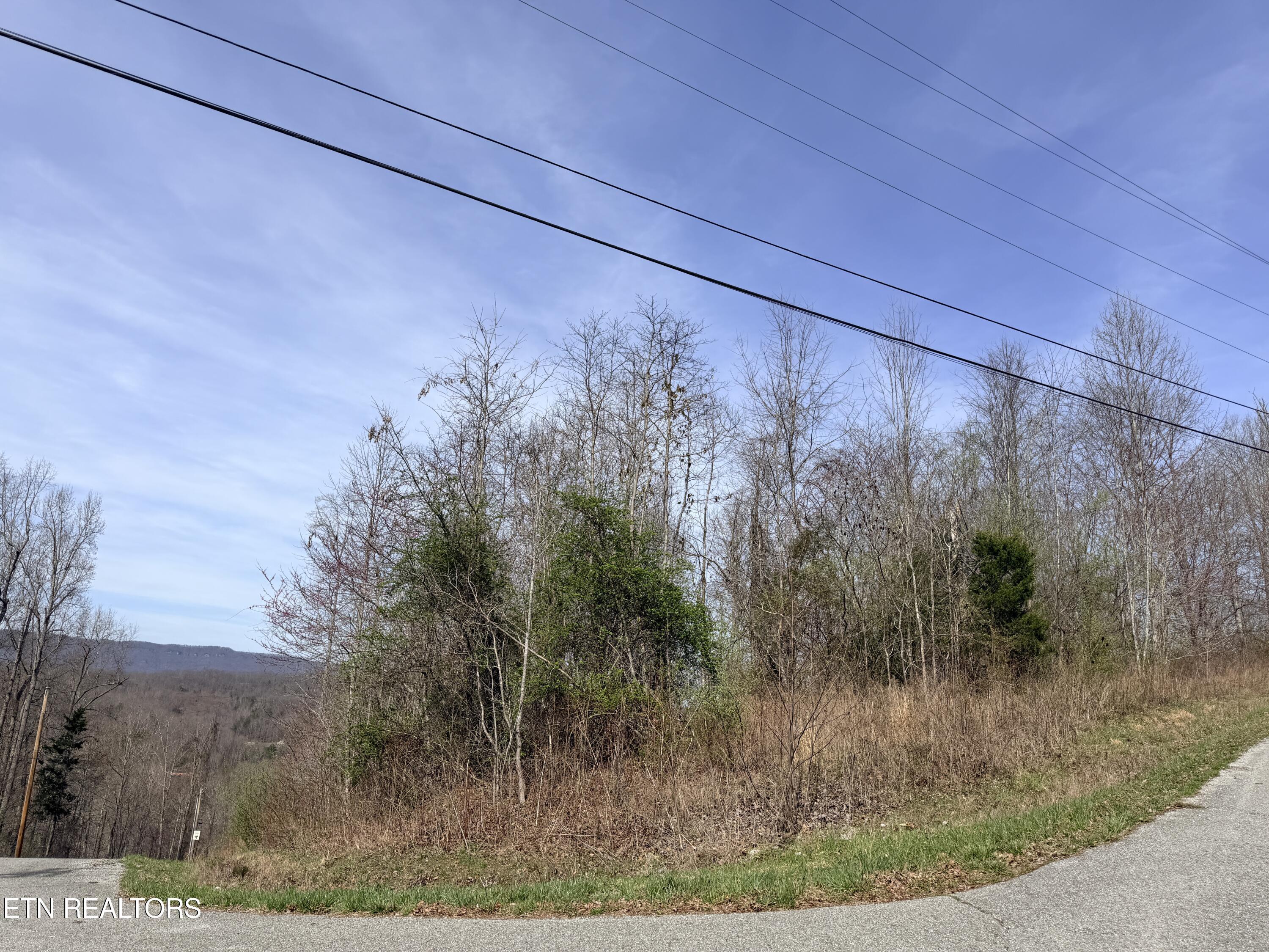Norris Lake Real Estate - Image# 7