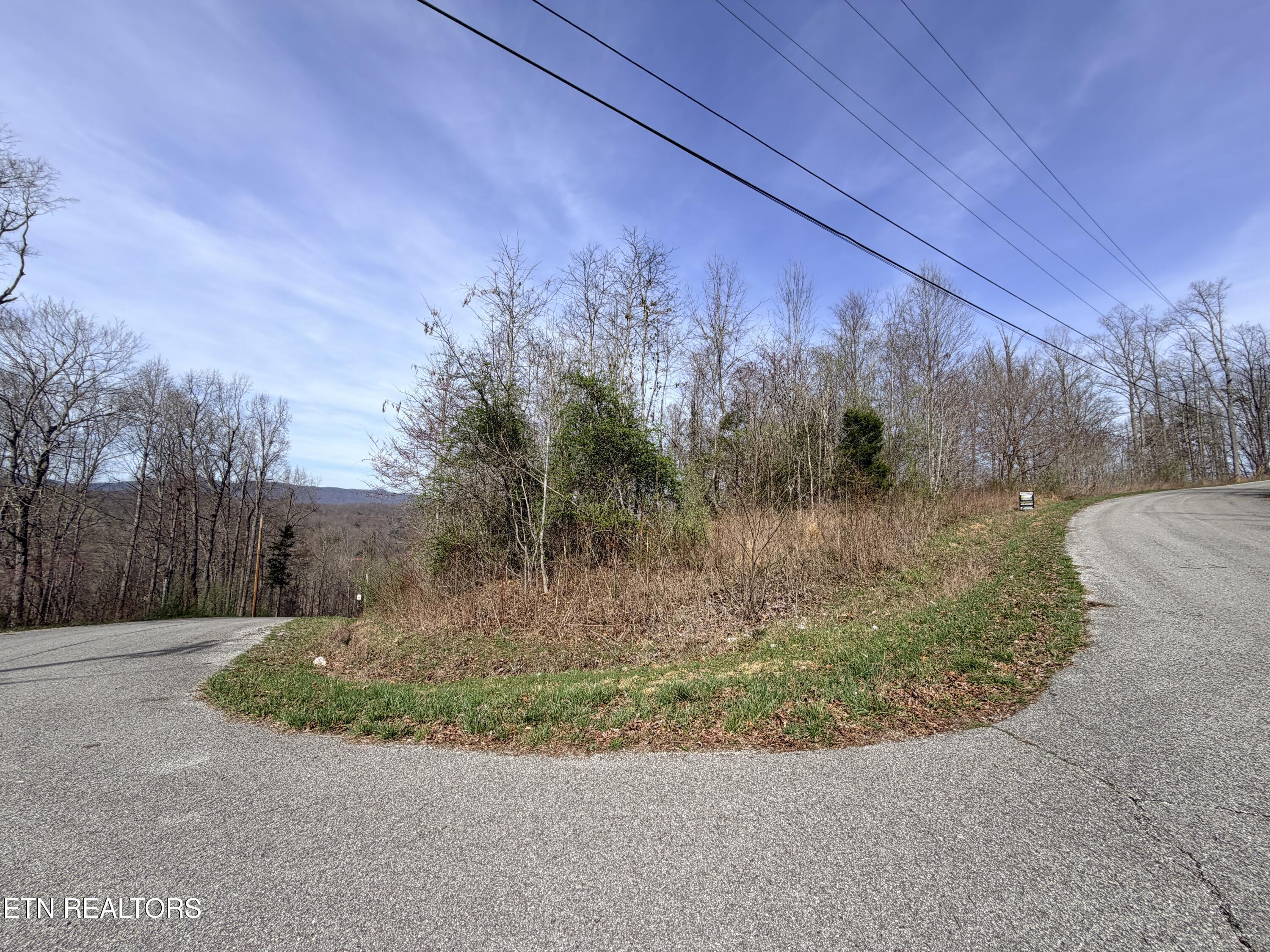 Norris Lake Real Estate - Image# 8