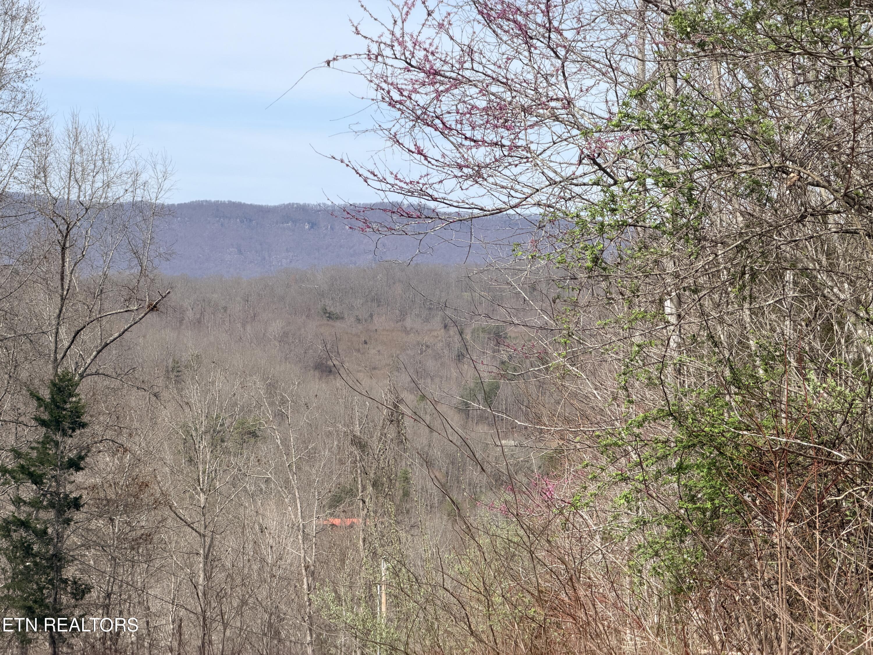 Norris Lake Real Estate - Image# 9