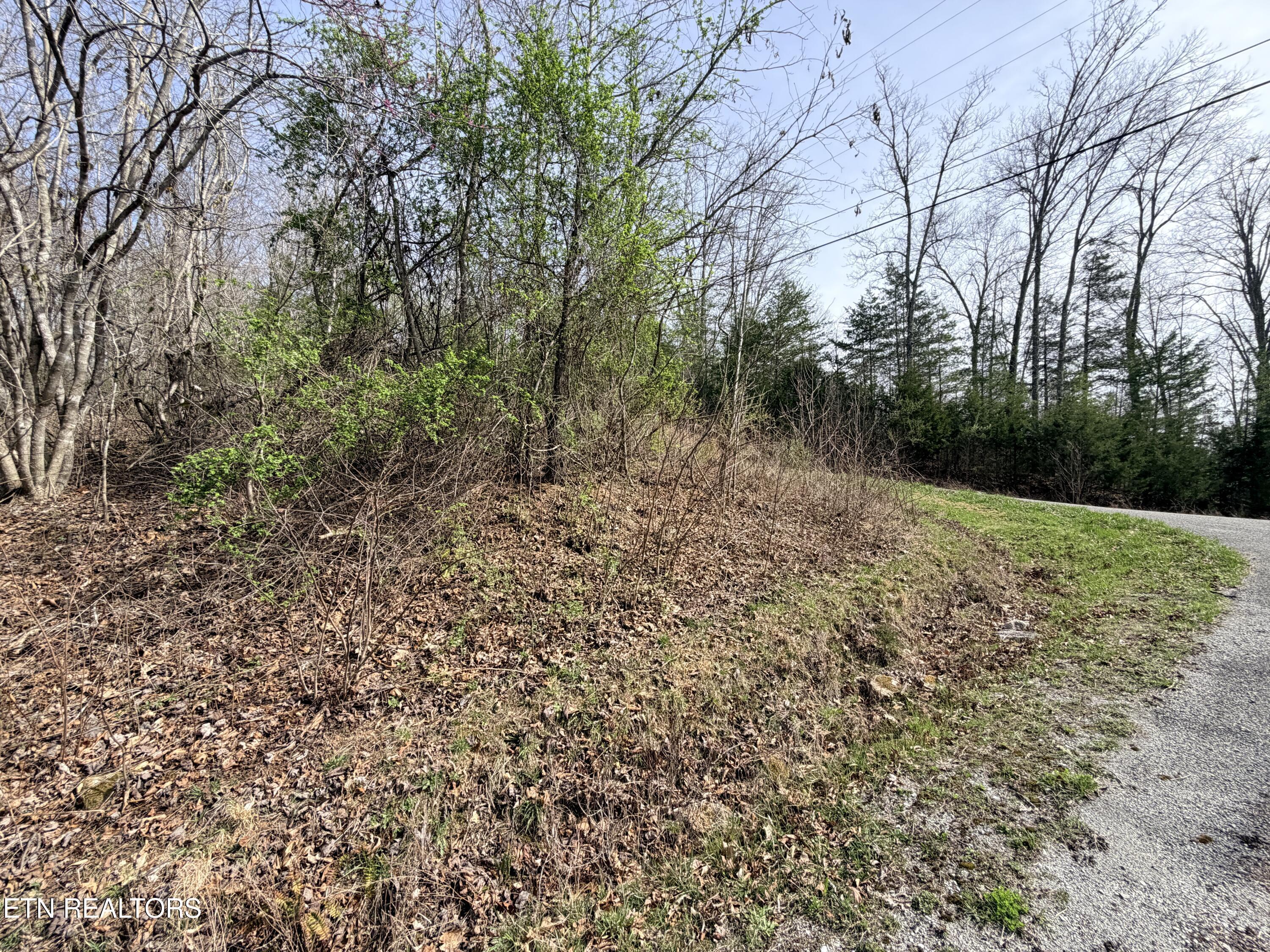 Norris Lake Real Estate - Image# 10