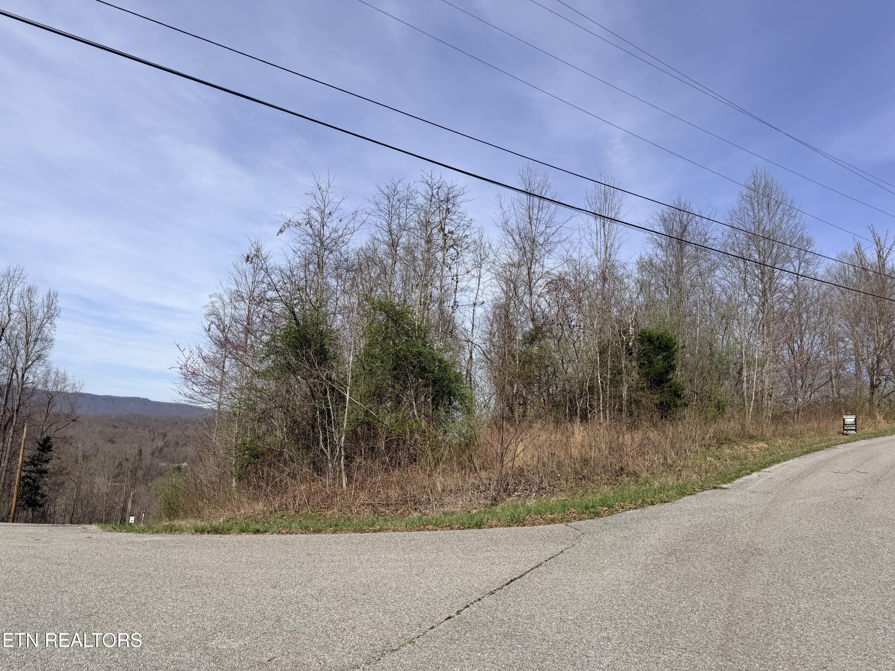 Norris Lake Real Estate - Image# 15