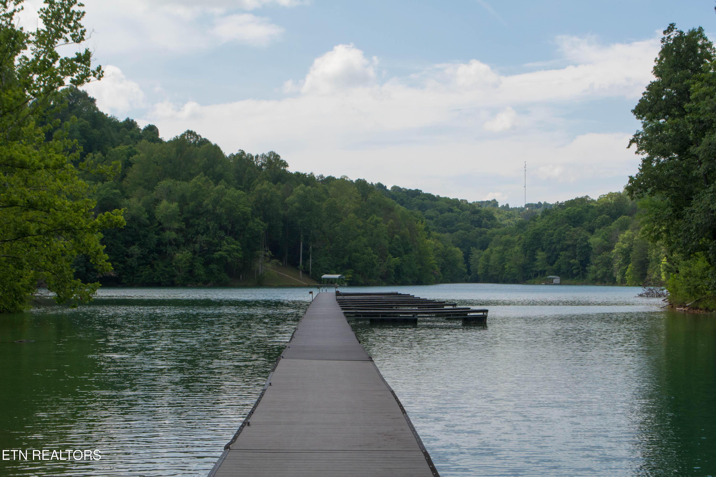 Norris Lake Real Estate - Image# 24