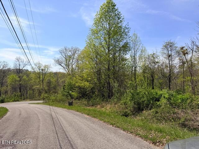 Norris Lake Real Estate - Image# 2