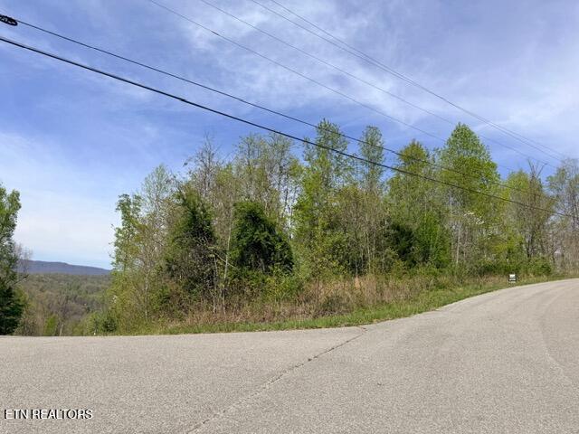 Norris Lake Real Estate - Image# 3