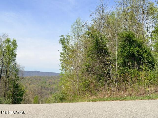 Norris Lake Real Estate - Image# 17