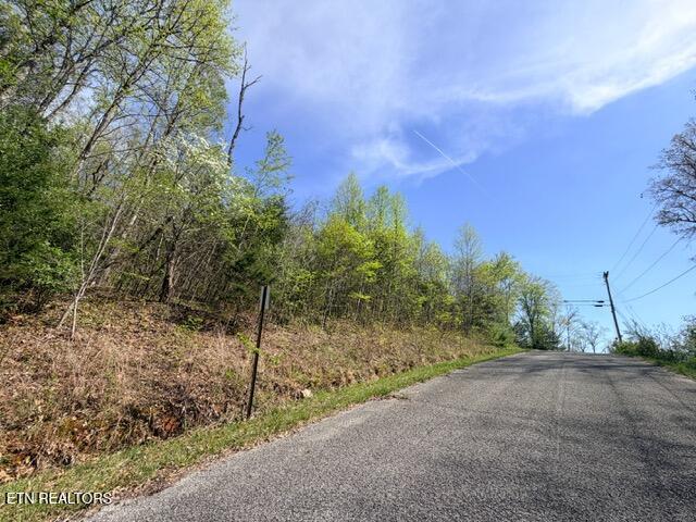 Norris Lake Real Estate - Image# 4