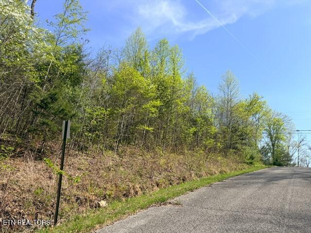 Norris Lake Real Estate - Image# 19