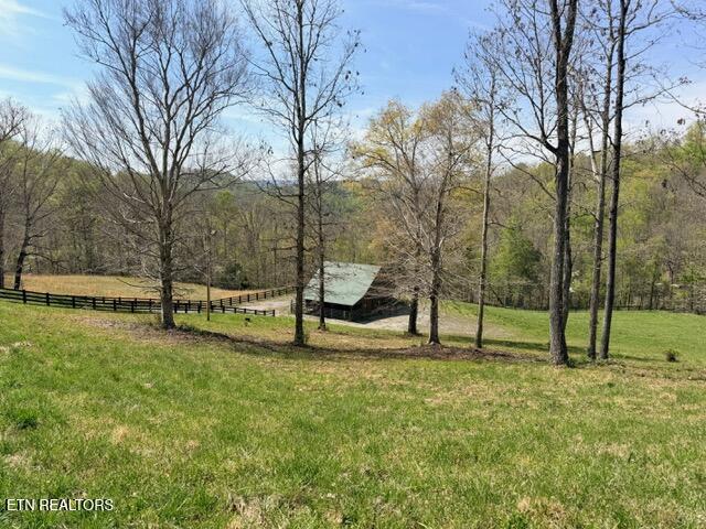 Norris Lake Real Estate - Image# 21