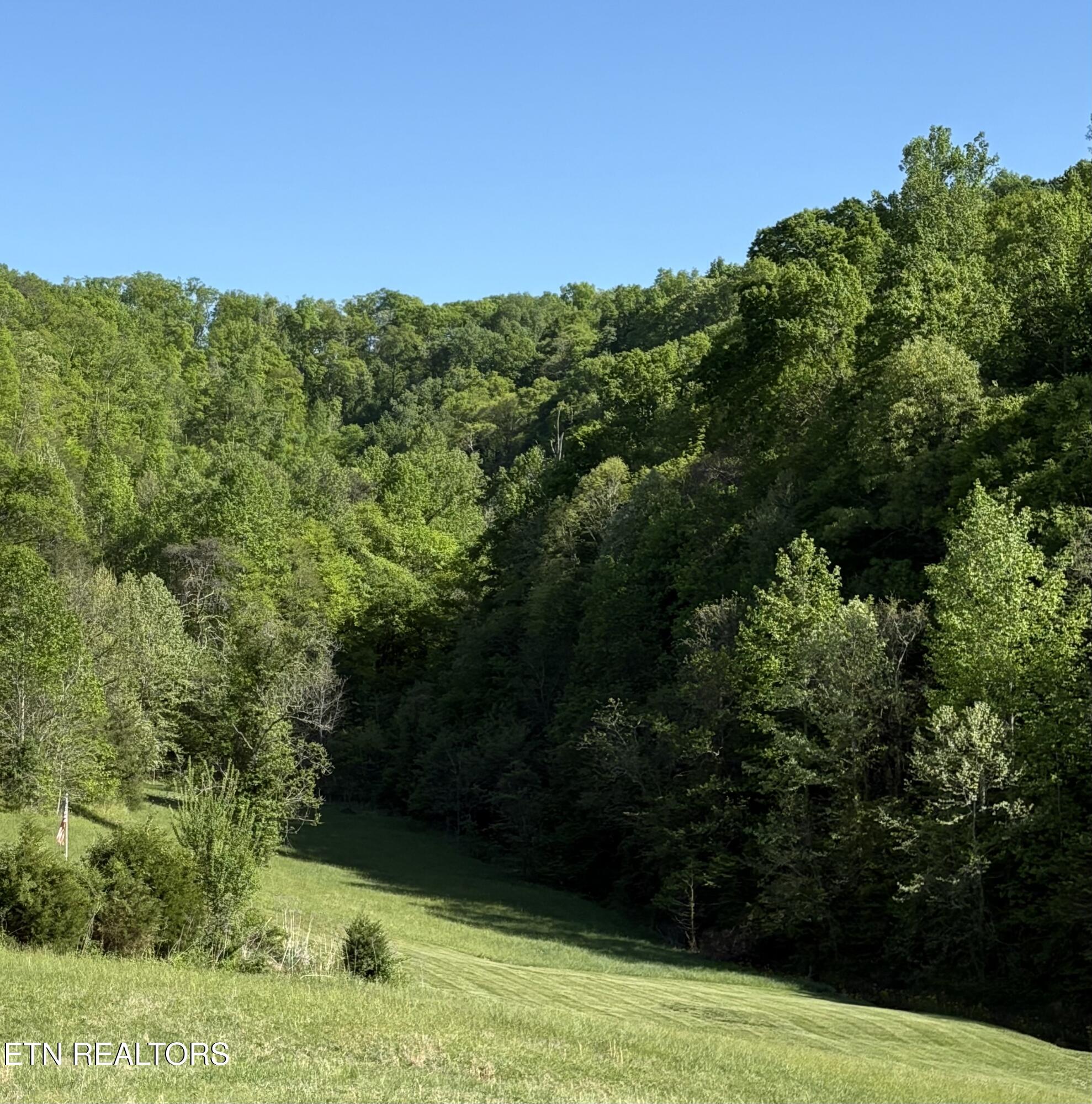 Norris Lake Real Estate - Image# 2