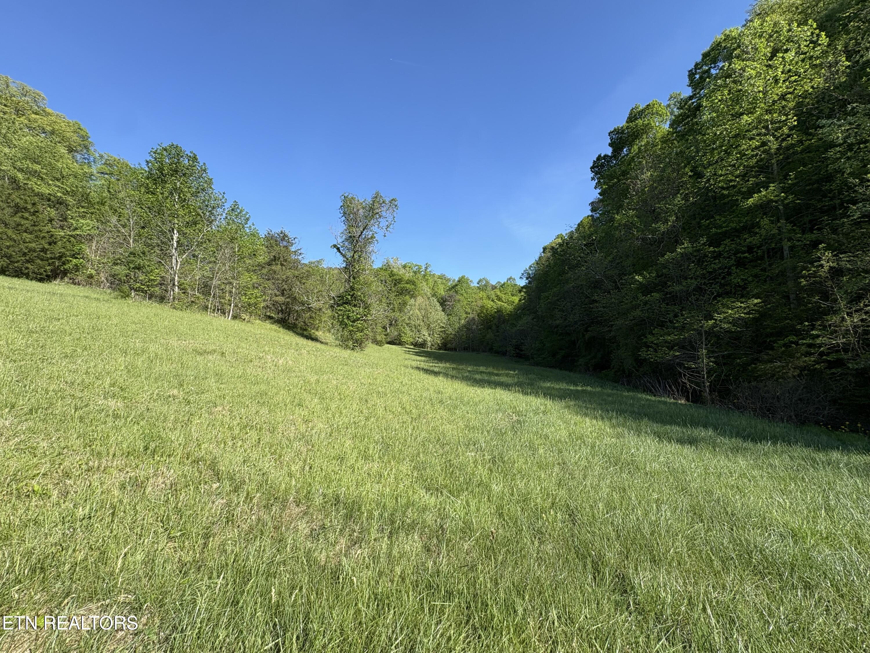 Norris Lake Real Estate - Image# 11