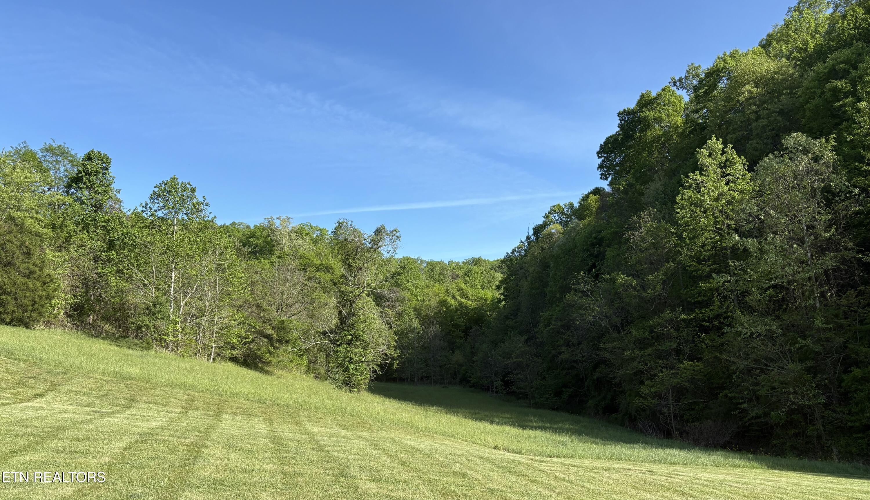 Norris Lake Real Estate - Image# 3