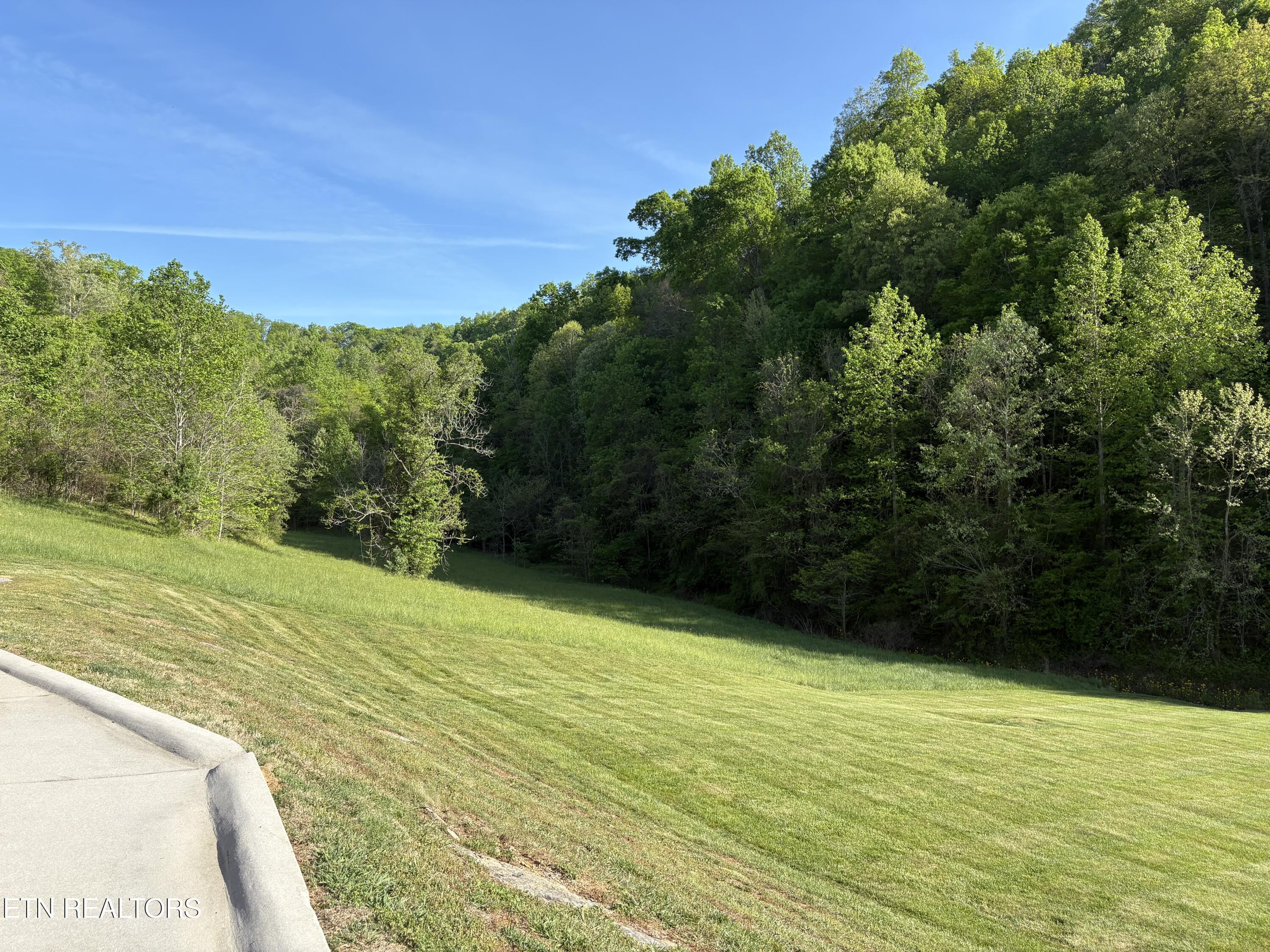 Norris Lake Real Estate - Image# 10