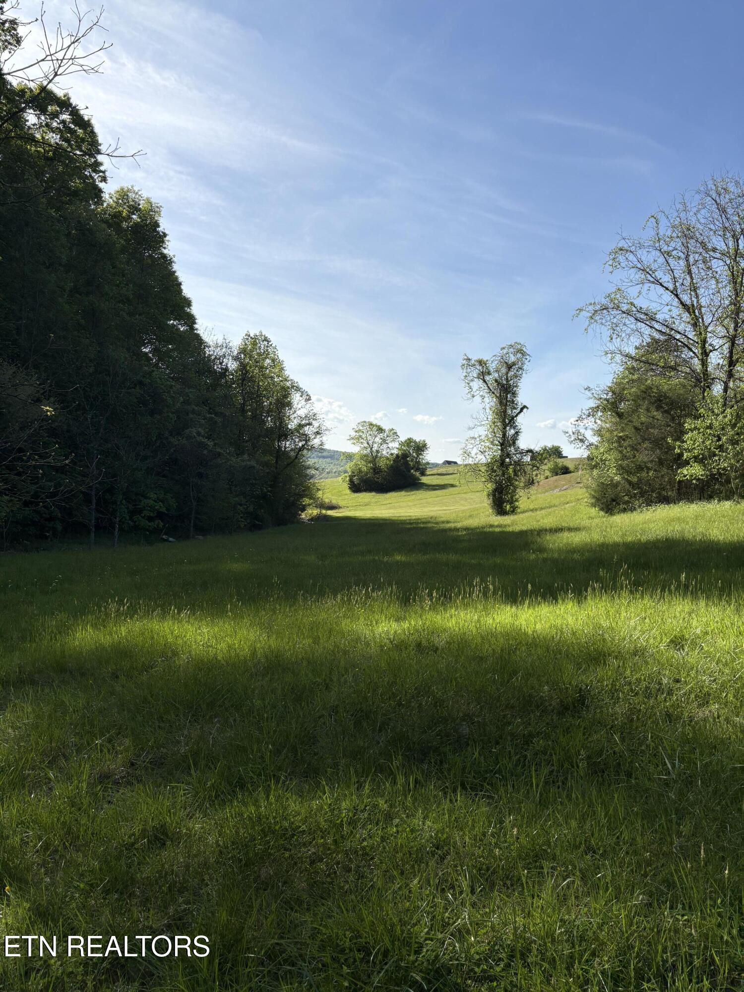 Norris Lake Real Estate - Image# 9