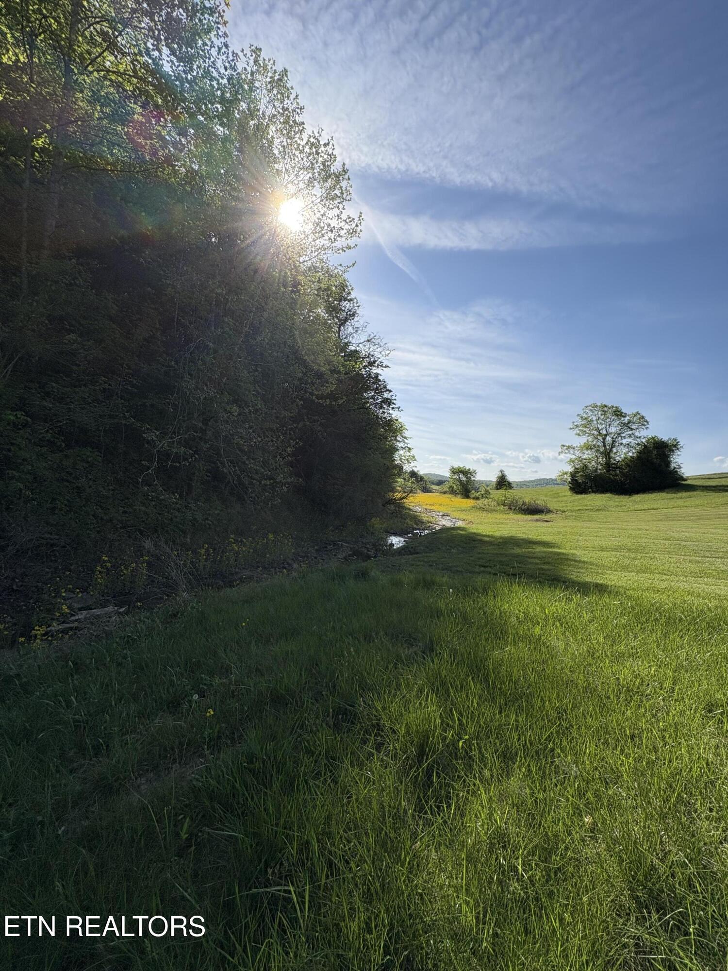 Norris Lake Real Estate - Image# 12