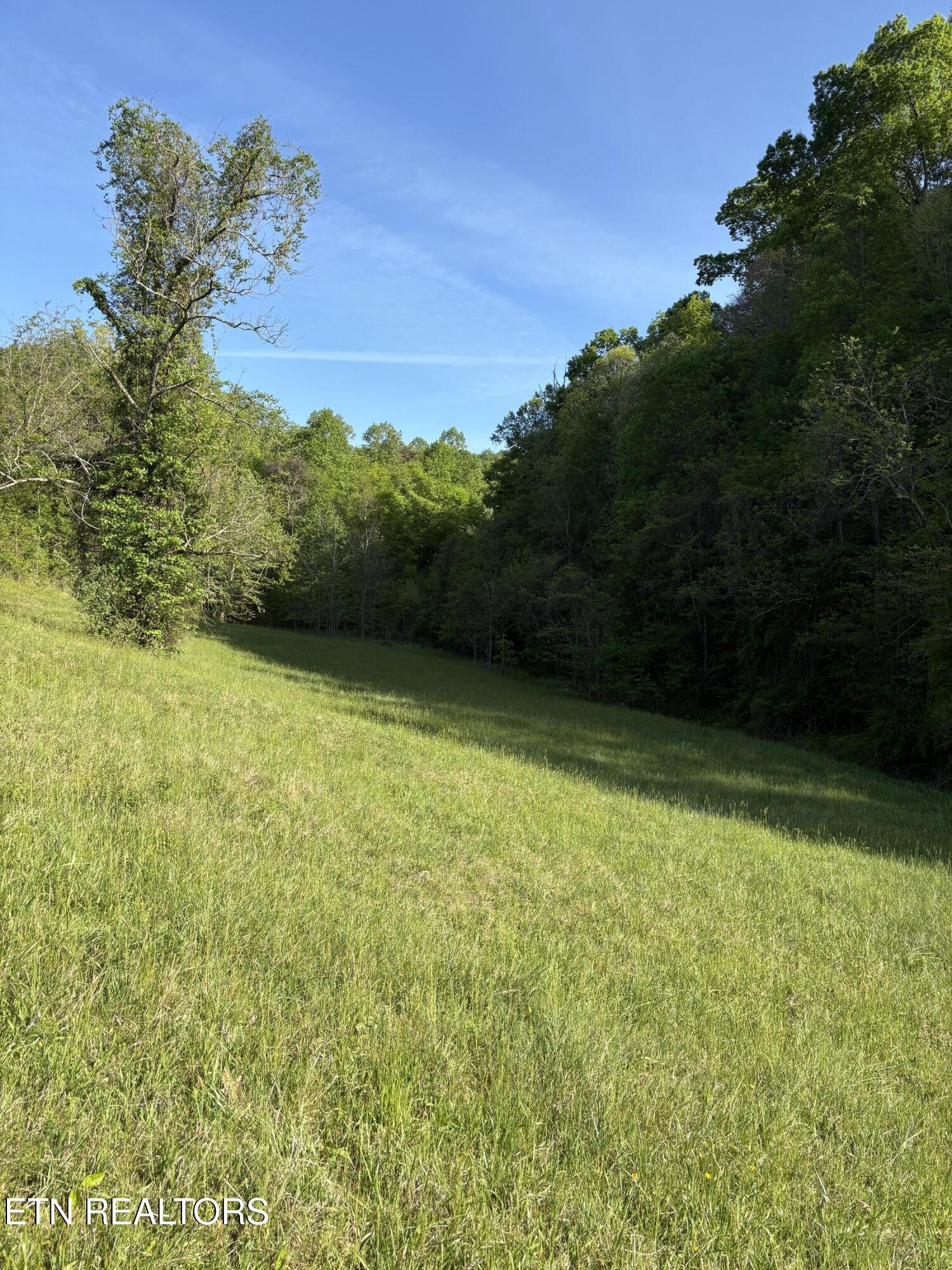 Norris Lake Real Estate - Image# 8