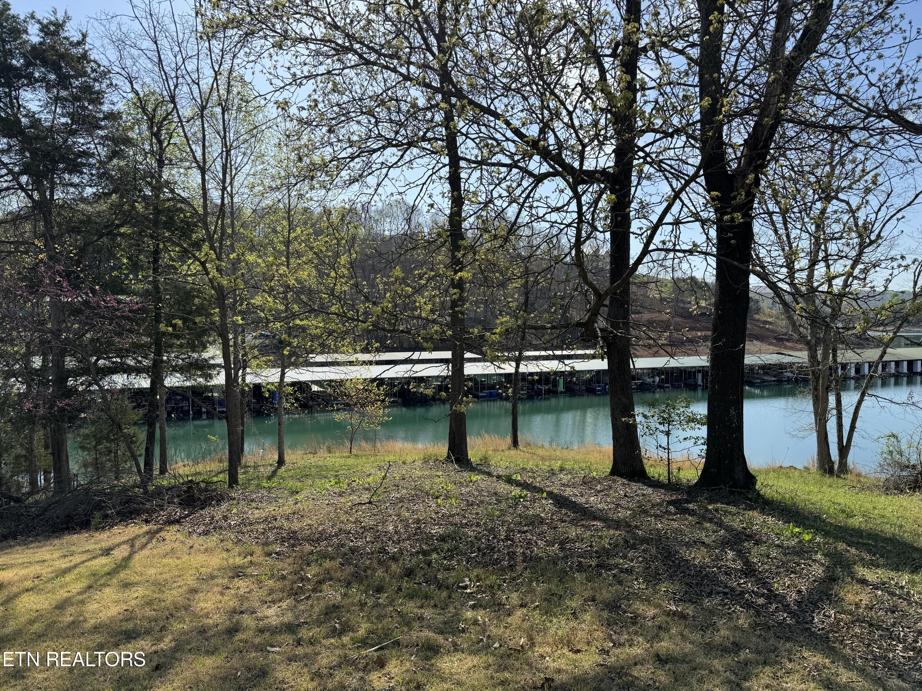 Norris Lake Real Estate - Image# 2