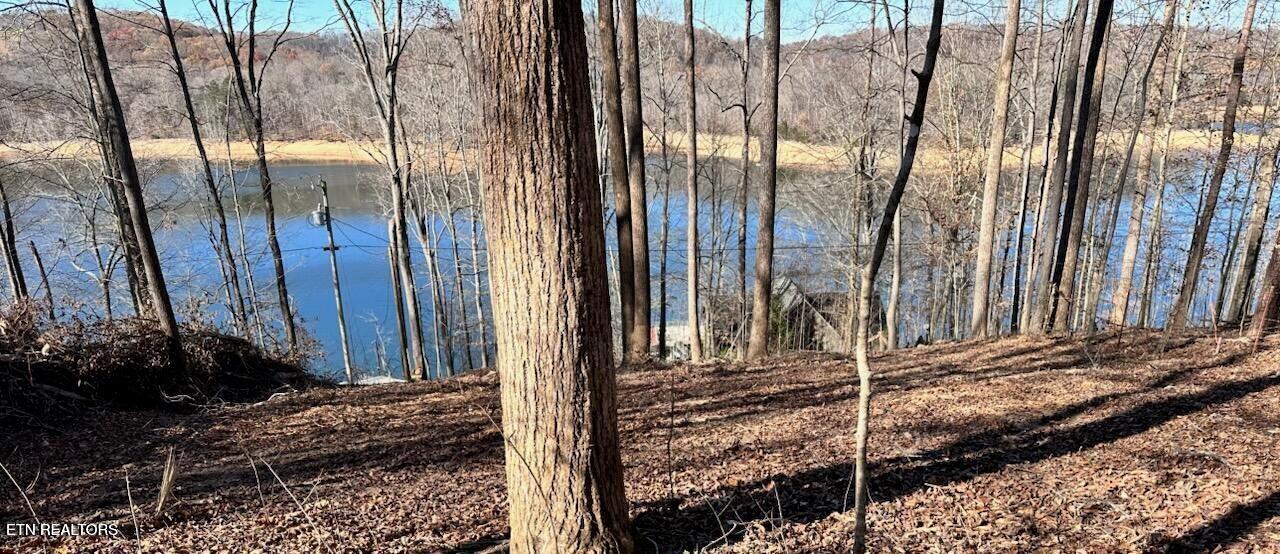 Norris Lake Real Estate - Image# 13