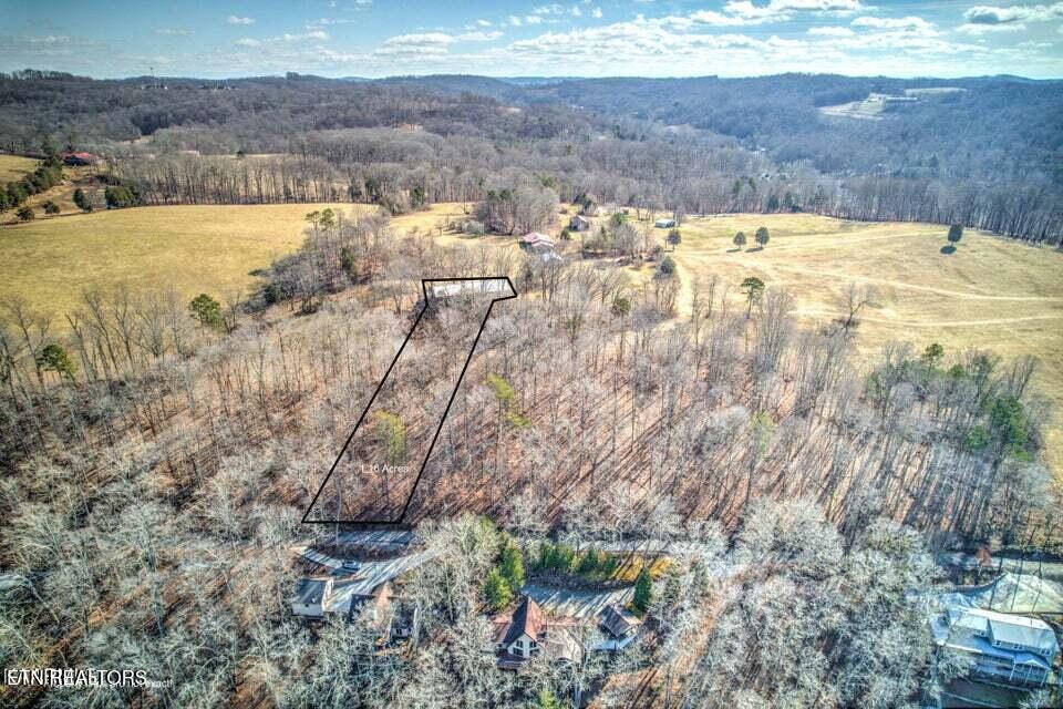 Norris Lake Real Estate - Image# 18