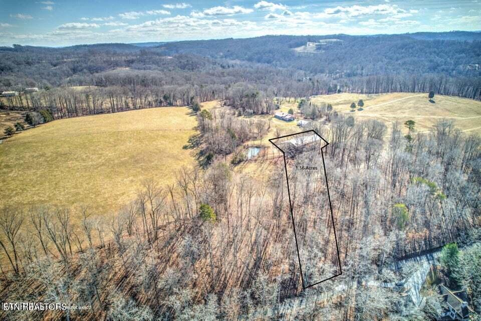 Norris Lake Real Estate - Image# 25