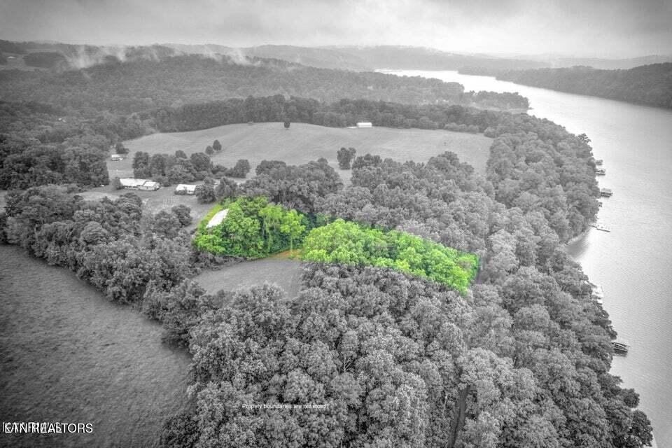 Norris Lake Real Estate - Image# 29