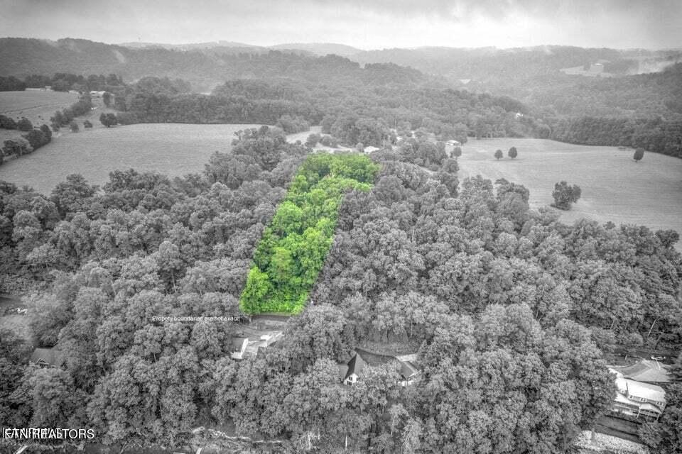 Norris Lake Real Estate - Image# 30