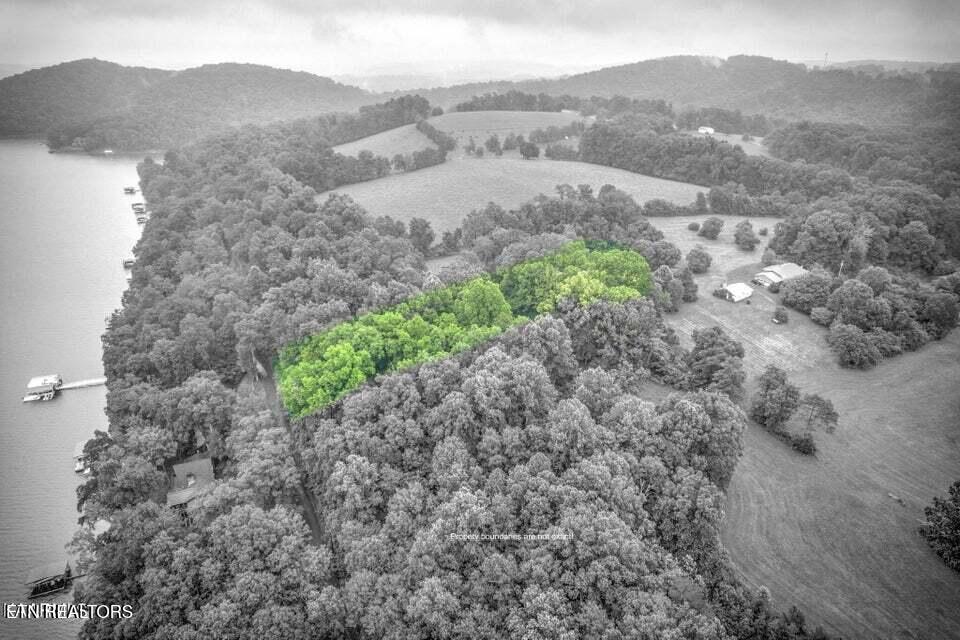 Norris Lake Real Estate - Image# 31