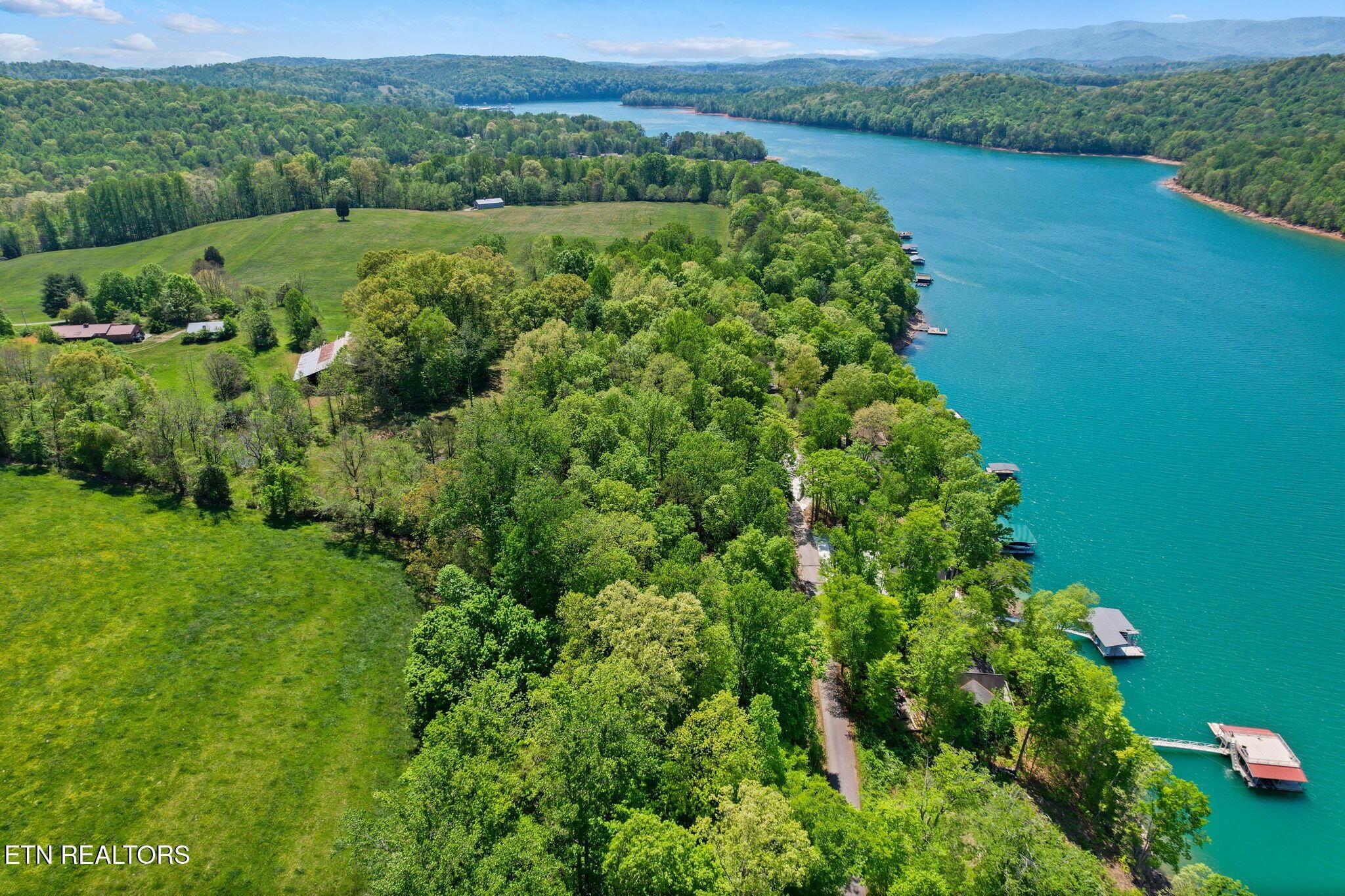 Norris Lake Real Estate - Image# 3