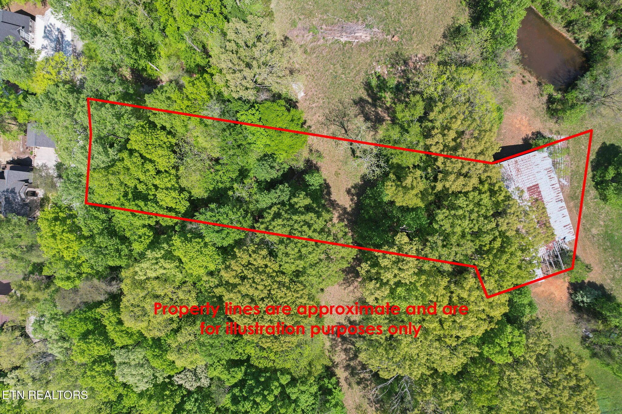 Norris Lake Real Estate - Image# 4