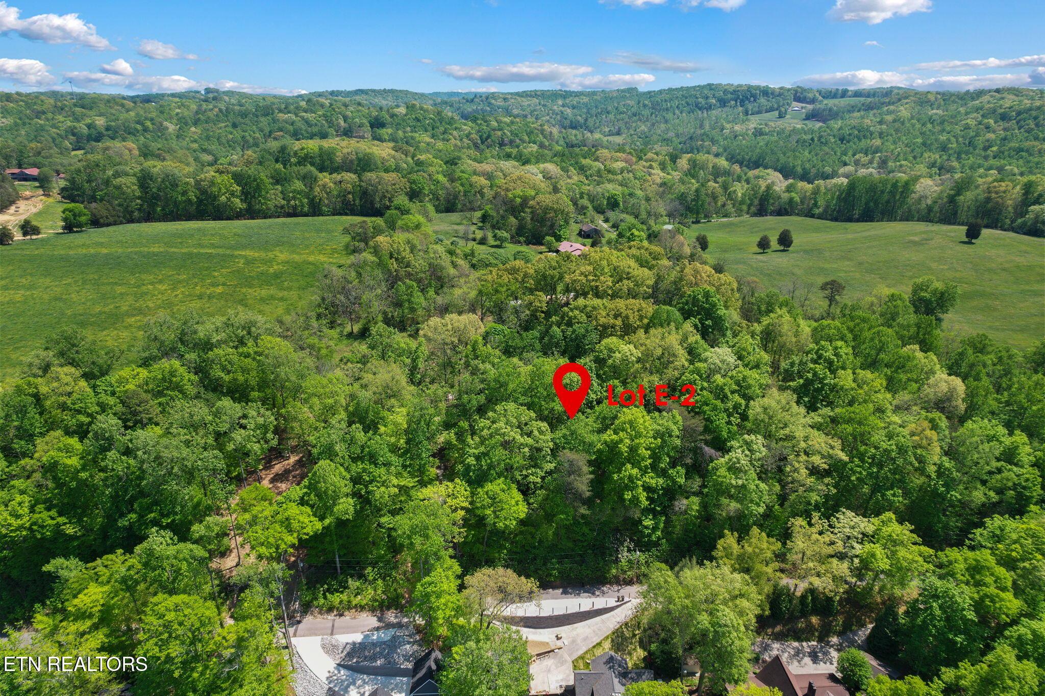 Norris Lake Real Estate - Image# 8