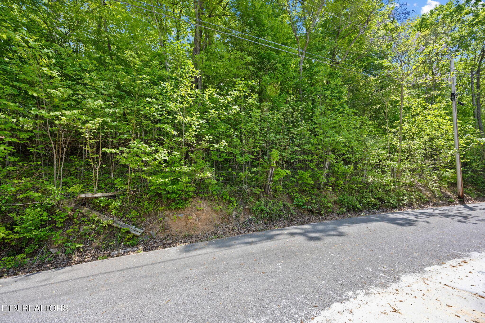 Norris Lake Real Estate - Image# 10