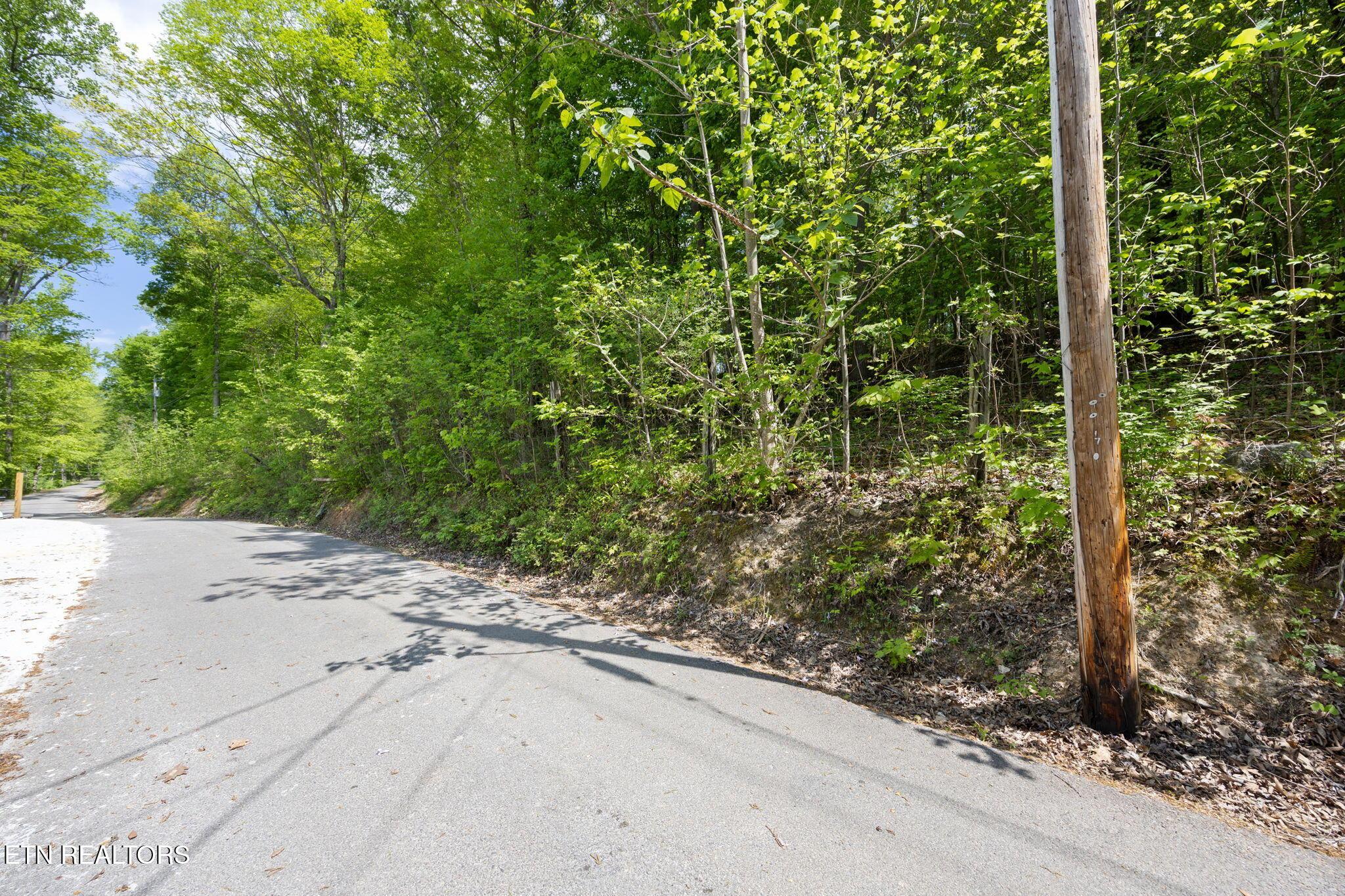Norris Lake Real Estate - Image# 11