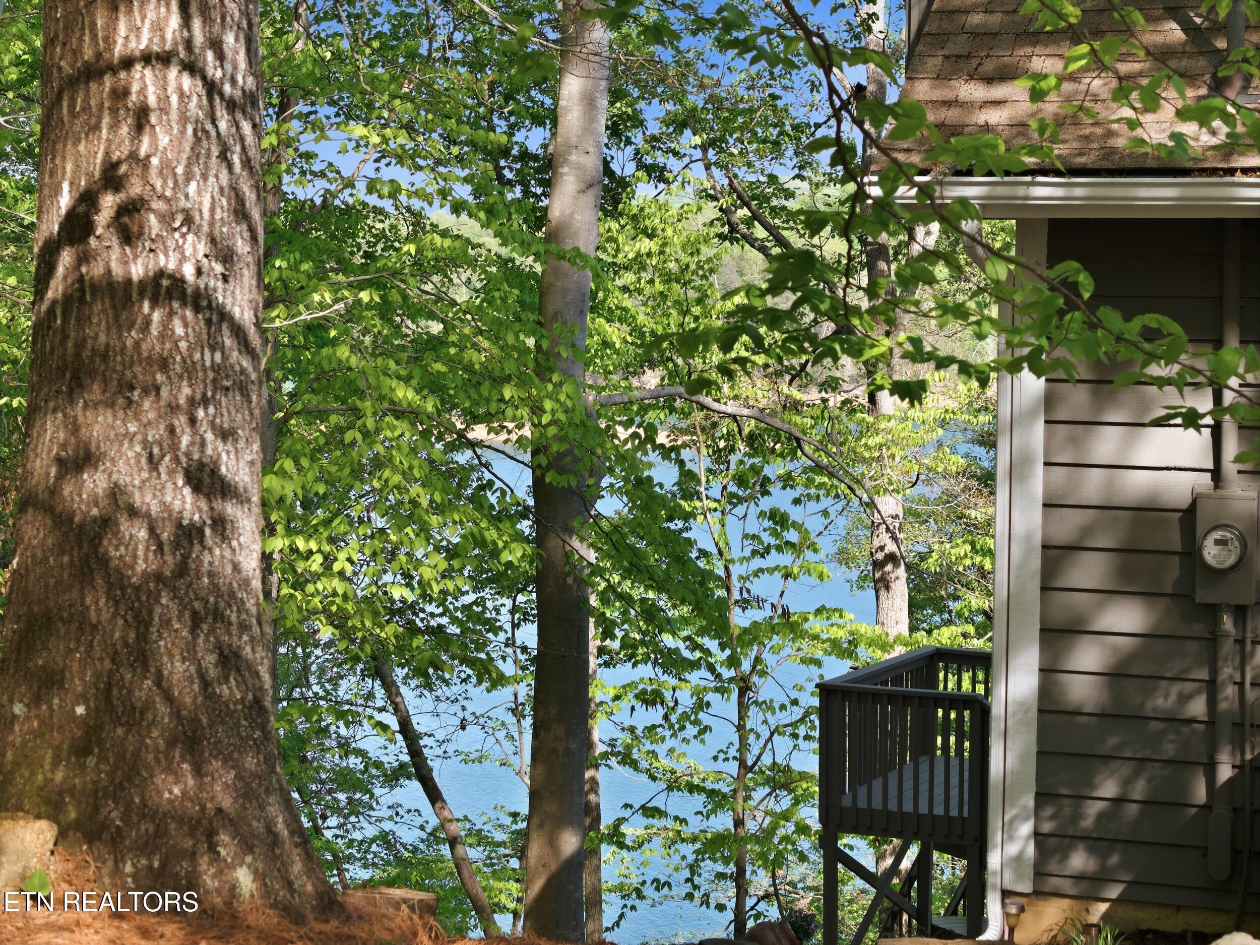 183 Ridgeview Circle, Sharps Chapel, TN - Norris Lake Real Estate - Image# 5