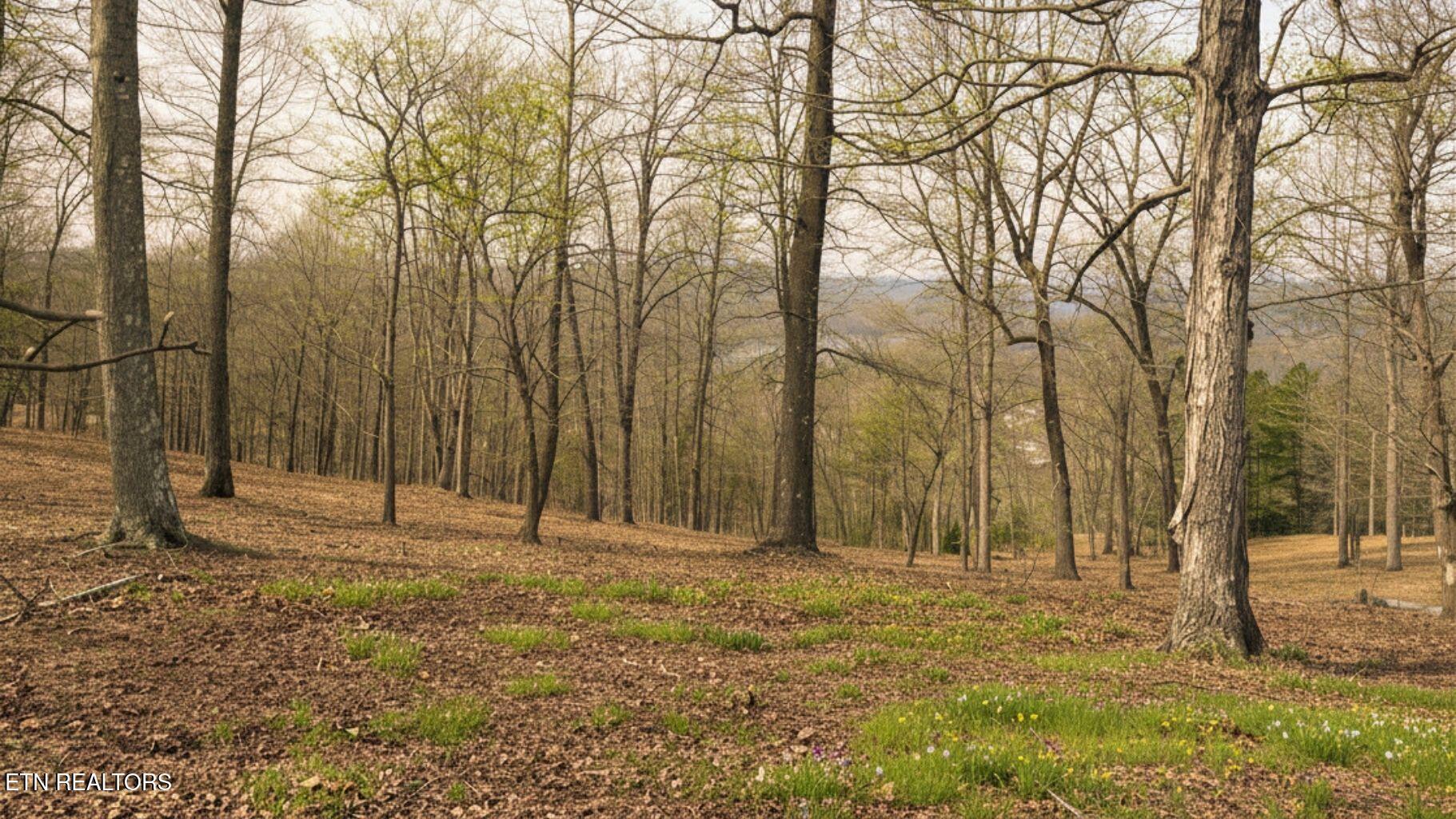 Norris Lake Real Estate - Image# 5