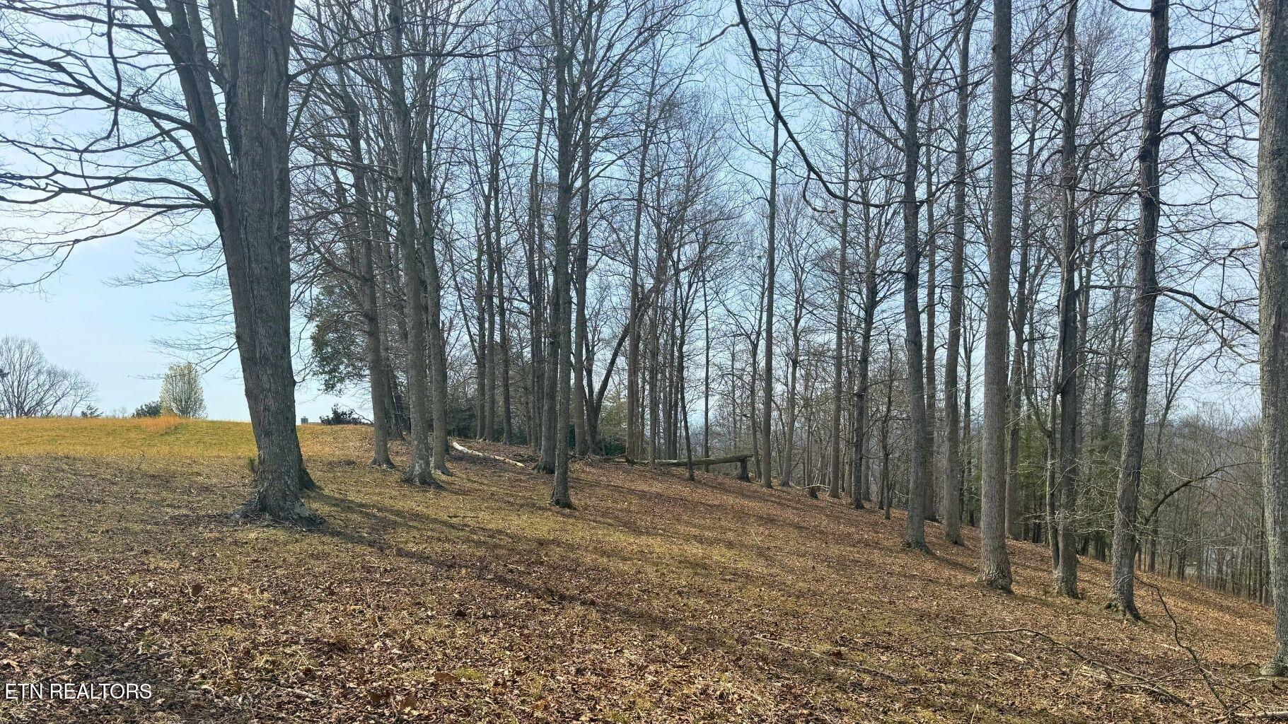 Norris Lake Real Estate - Image# 18