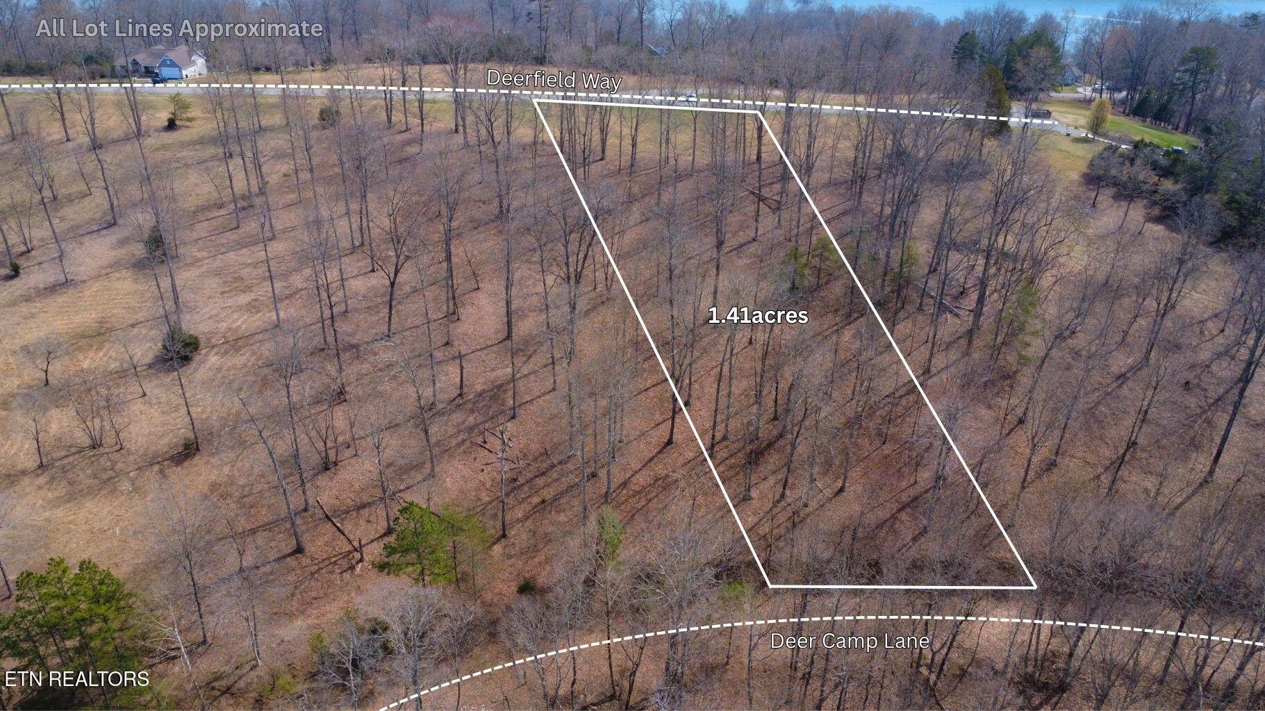 Norris Lake Real Estate - Image# 9