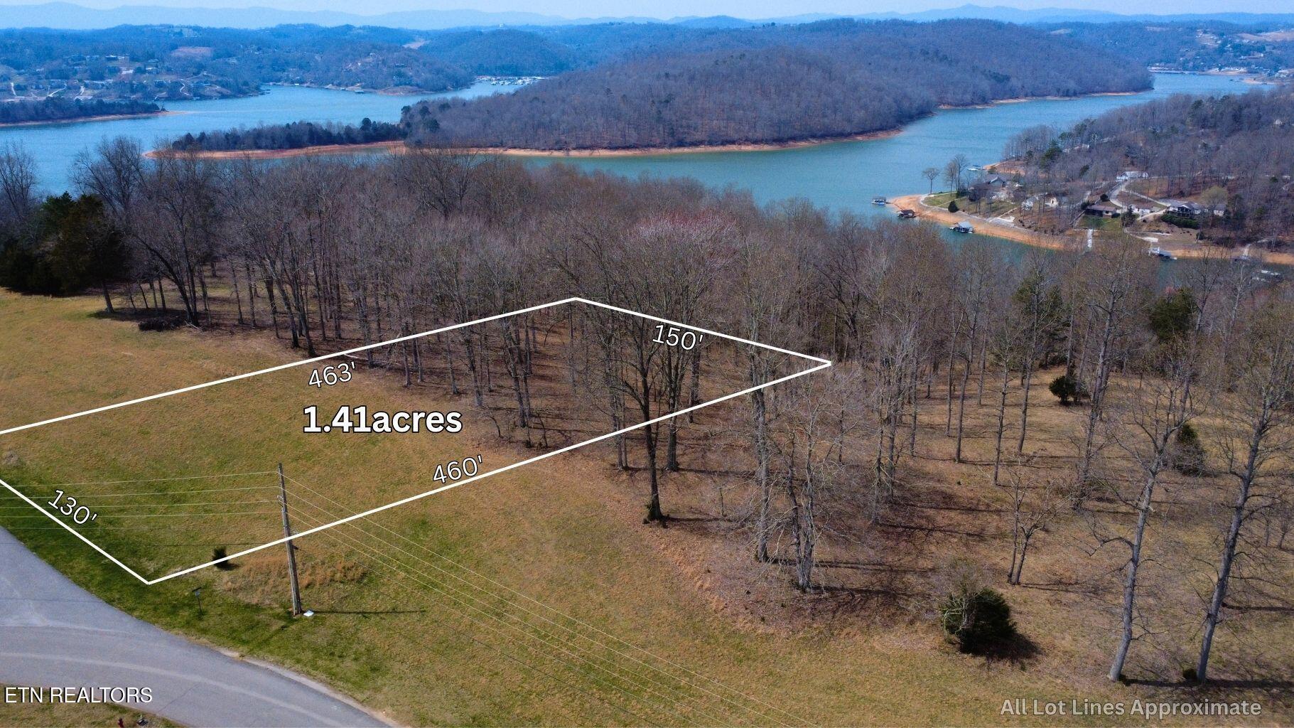Norris Lake Real Estate - Image# 11