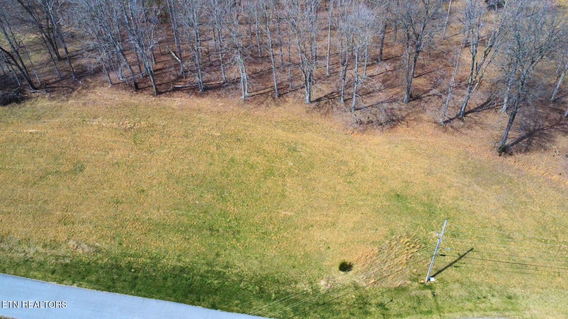 Norris Lake Real Estate - Image# 6