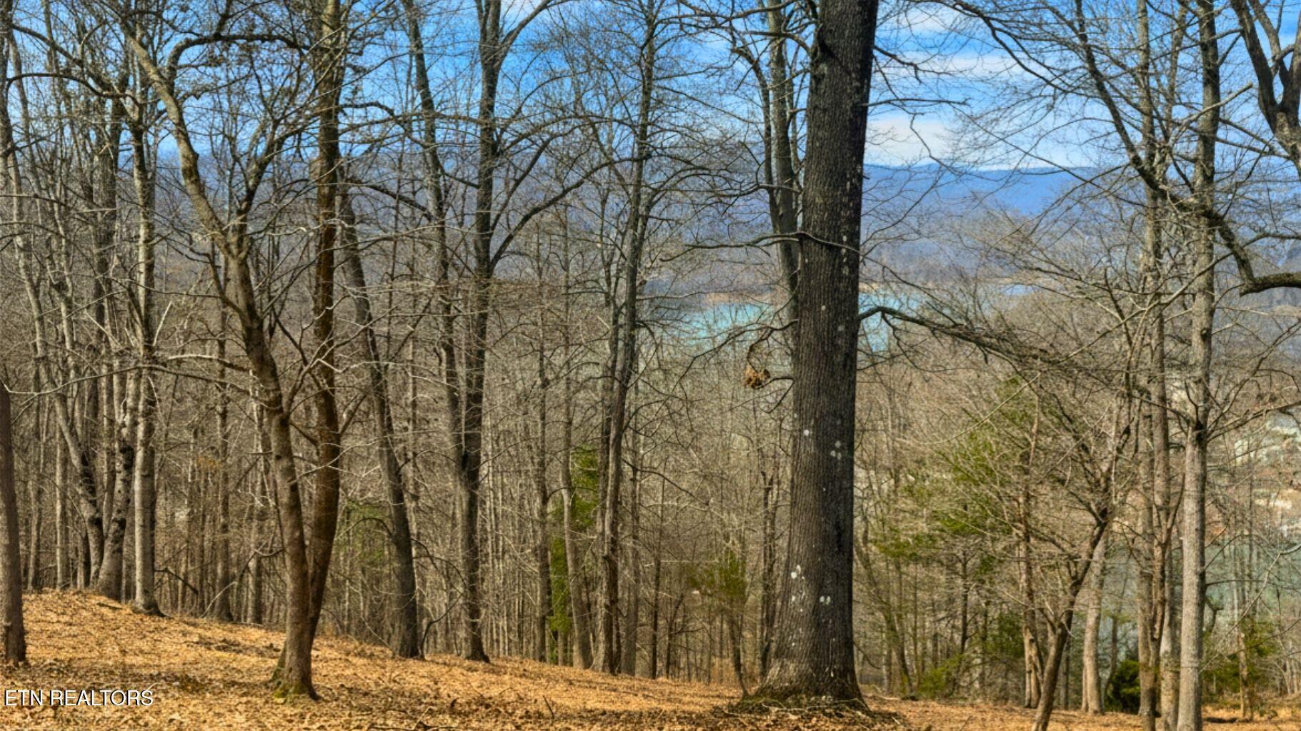 Norris Lake Real Estate - Image# 14